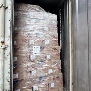 Mỡ Lưng Heo Faccsa Nhập Khẩu Tây Ban Nha Thùng 19kg Đông Lạnh