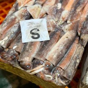 Mực Ống Achen Nhập Khẩu Argentina Size 200–300g Thùng 10kg