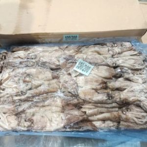 Mực Ống Nhập Khẩu Argentina Size 100–200g Đông Lạnh Thùng 20kg