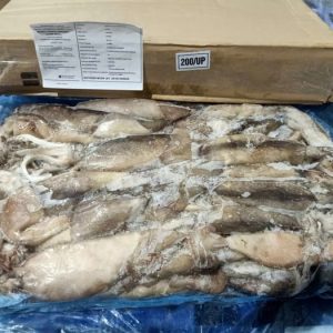 Mực Ống Nhập Khẩu Argentina Size 200 Up Đông Lạnh Thùng 10kg