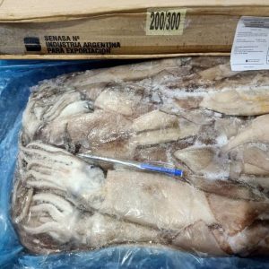 Mực Ống Nhập Khẩu Argentina Size 200–300g Đông Lạnh Thùng 10kg