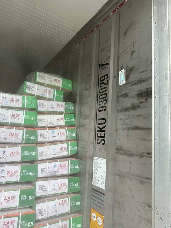 Thịt má trâu Ấn Độ mã 21A Fresh 68 (3)