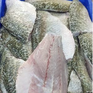 Cá Chẽm Fillet Size 400g Up Đông Lạnh Thùng 10kg