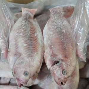 Cá Điêu Hồng Làm Sạch Size 500g+ Thùng 10kg Đông Lạnh