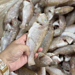 Cá Hường Trắng Đông Lạnh Thùng 10kg