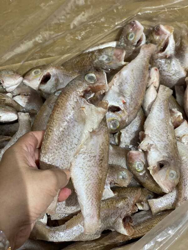 Cá Hường Trắng Đông Lạnh Thùng 10kg (4)