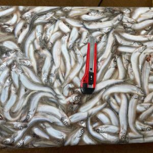 Cá Trứng Na Uy Thùng 20kg Nhập Khẩu Đông Lạnh