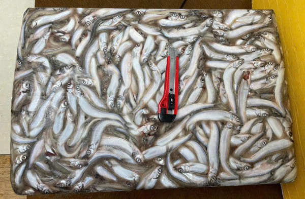 Cá Trứng Na Uy Thùng 20kg Nhập Khẩu Đông Lạnh (2)