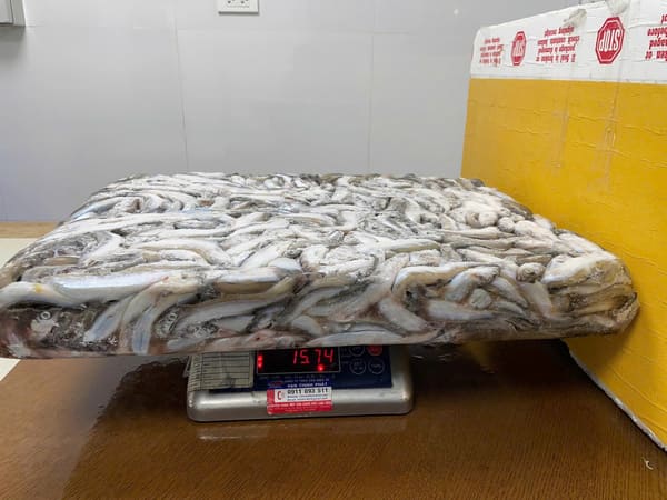 Cá Trứng Na Uy Thùng 20kg Nhập Khẩu Đông Lạnh (3)