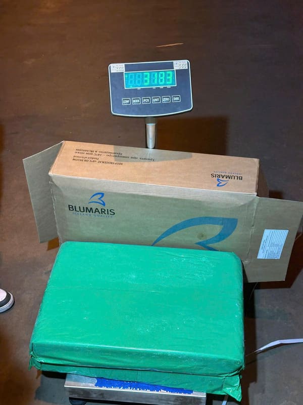Cá Trứng Na Uy Thùng 20kg Nhập Khẩu Đông Lạnh (5)