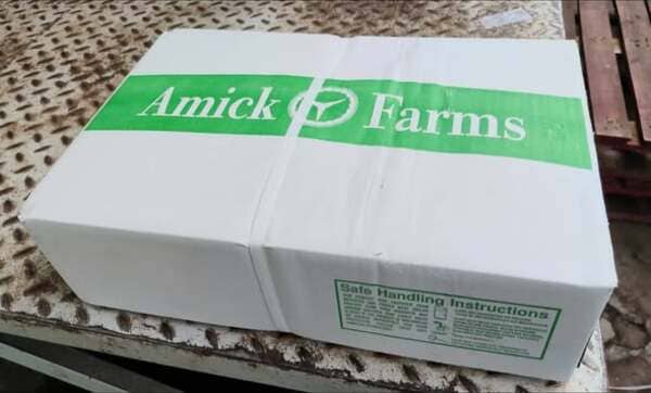 Đùi Tỏi Gà Amick Farms Nhập Khẩu Mỹ (1)
