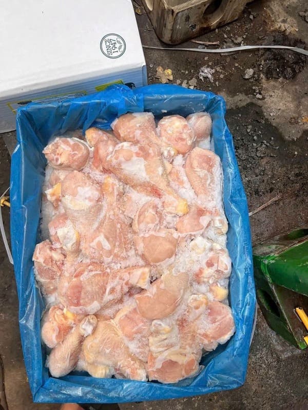 Đùi Tỏi Gà Sanderson Size Trung Nhập Khẩu Mỹ (3)