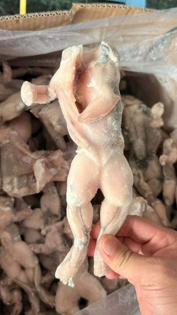 Ếch Làm Sạch Việt Nam Đông Lạnh (1)