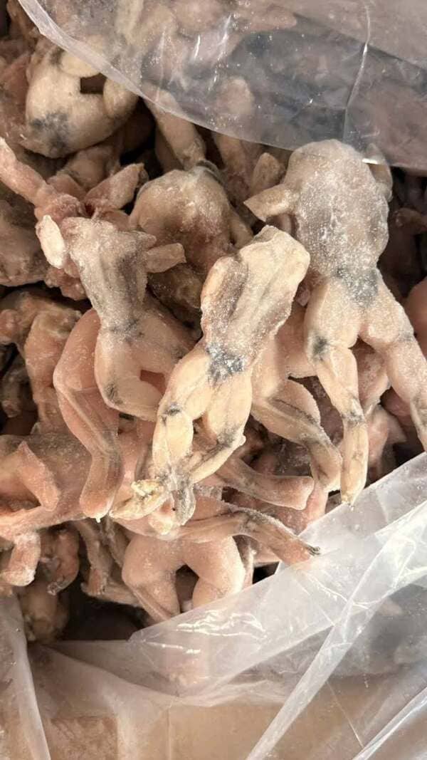 Ếch Làm Sạch Việt Nam Đông Lạnh (5)