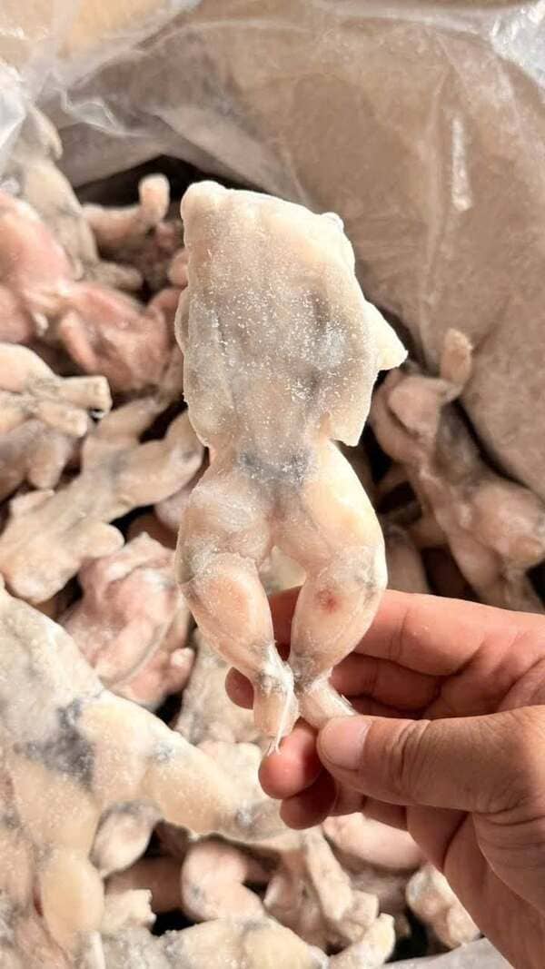 Ếch Làm Sạch Việt Nam Đông Lạnh (6)