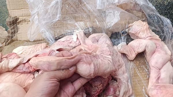 Thú Linh Heo Việt Nam Đông Lạnh (1)