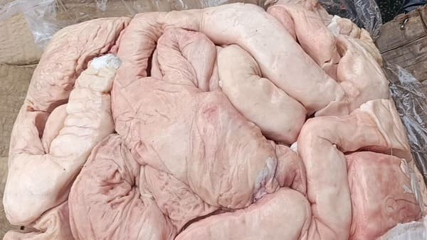 Thú Linh Heo Việt Nam Đông Lạnh (3)