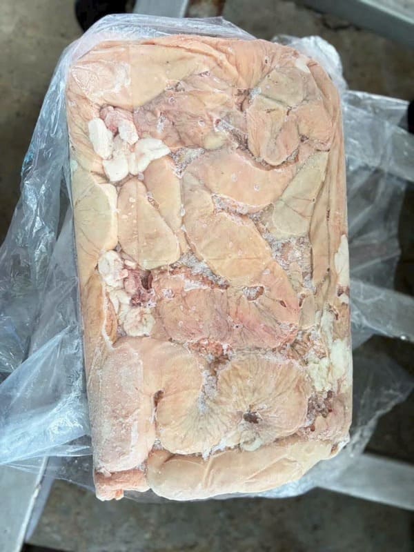 Thú Linh Heo Việt Nam Đông Lạnh (4)