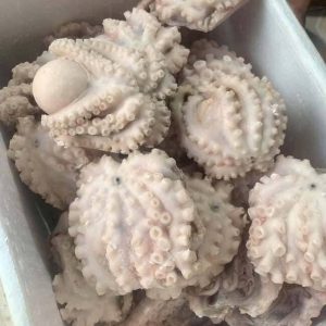 Bạch Tuộc 2 Da Làm Sạch Cấp Đông Rời Đủ Size Thùng 10kg