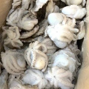 Bạch Tuộc Làm Sạch Cấp Đông Đủ Size Thùng 10kg