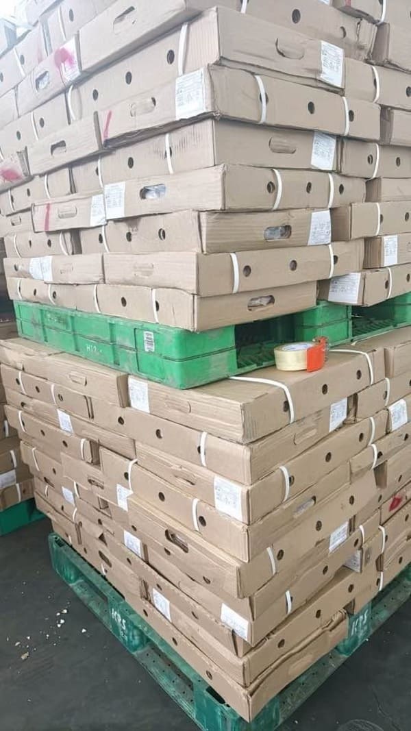 Bao Tử Heo Đông Lạnh APK Nhập Khẩu Nga Thùng 10kg (1)