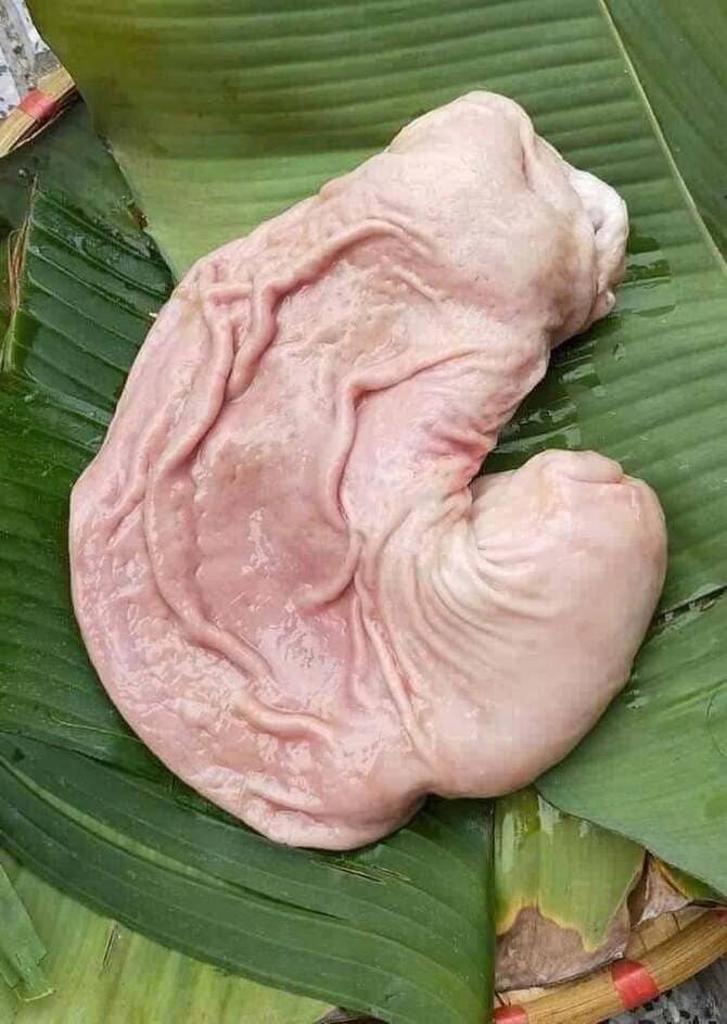 Bao Tử Heo Nóng Tại Lò Mổ Việt Nam Thùng 10kg (2)