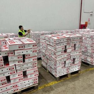 Bao Tử Heo Tonnies Nhập Khẩu Đức Đông Lạnh Thùng 10kg