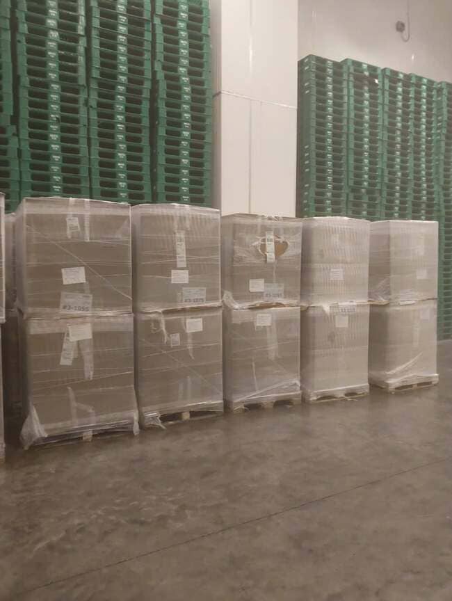 Da Lưng Heo Friselva Nhập Khẩu Tây Ban Nha Đông Lạnh (1)