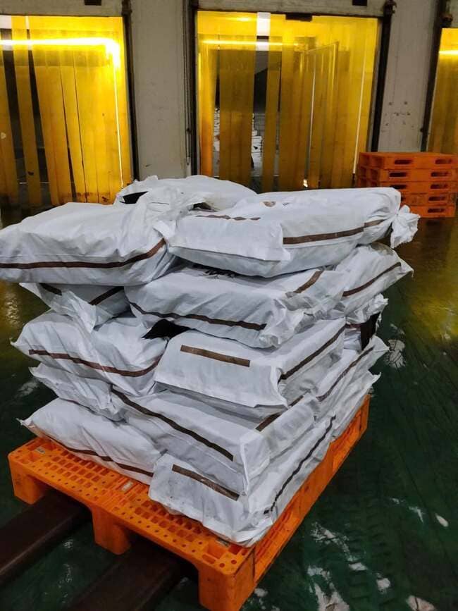 Đuôi Mực Chile Nhập Khẩu Đông Lạnh (4)