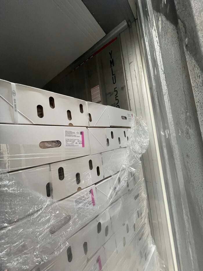Mỡ Lưng Heo Có Da Blomer Nhập Khẩu Đức Đông Lạnh (1)
