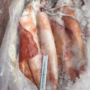Mực Lá Đại Dương Size 2–5kg Cấp Đông Thùng Xốp 10kg