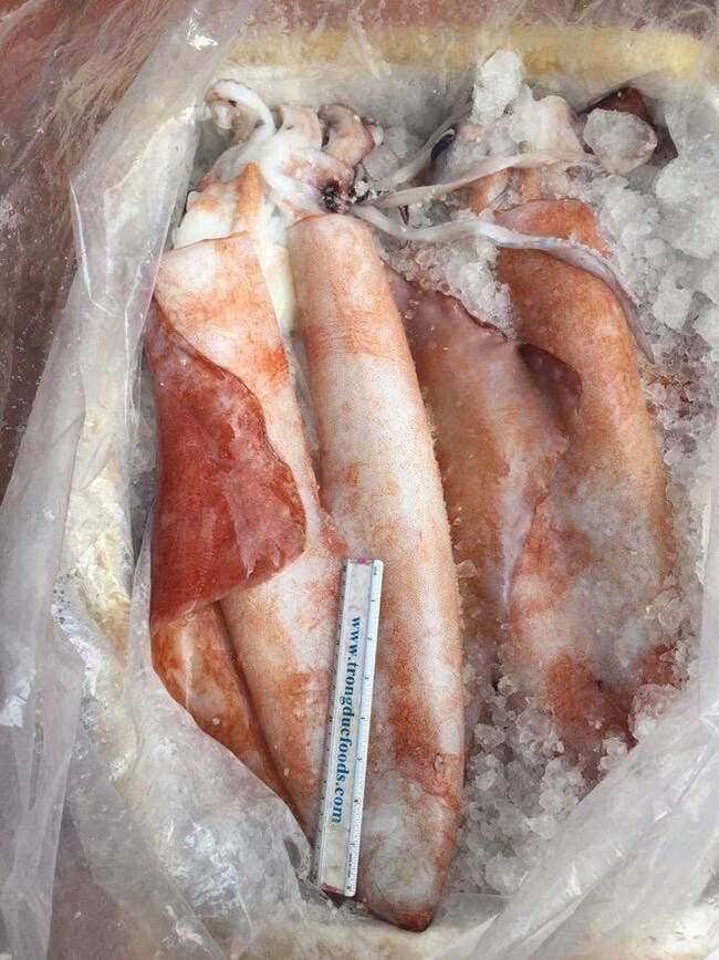 Mực Lá Đại Dương Size 2–5kg Cấp Đông (4)