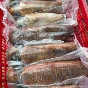 Mực Lá Tươi Cấp Đông Size 1kg Thùng Xốp 10kg