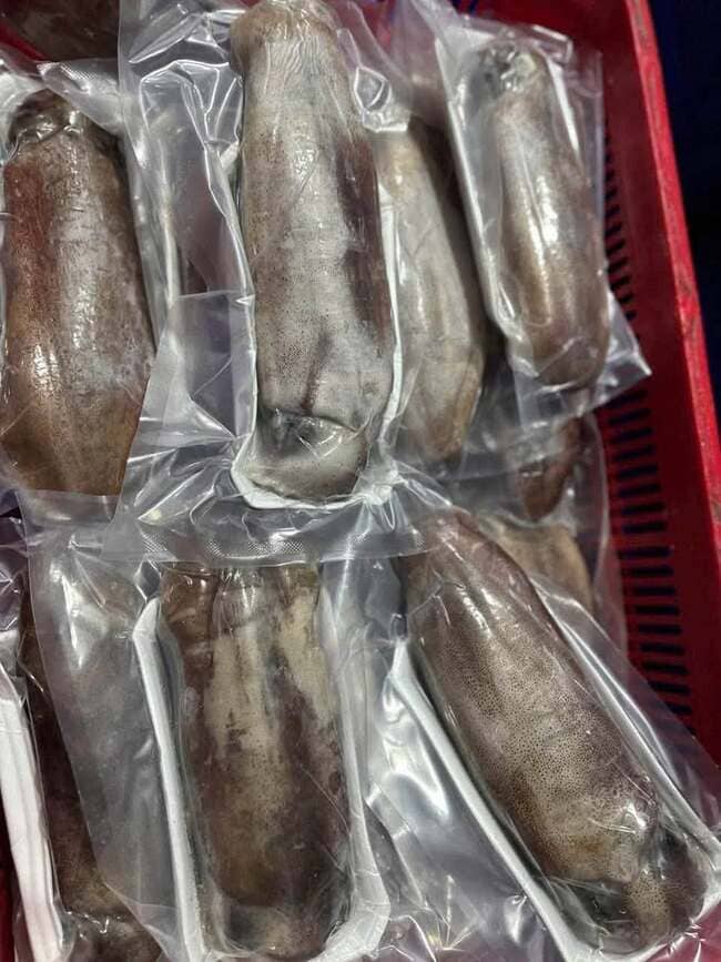 Mực Lá Tươi Cấp Đông Size 500g (1)