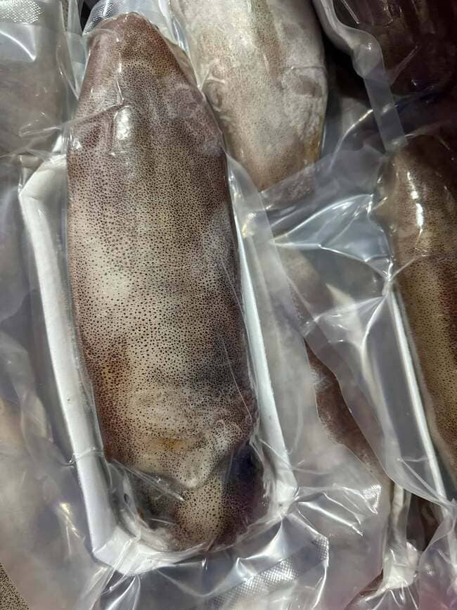 Mực Lá Tươi Cấp Đông Size 500g (2)