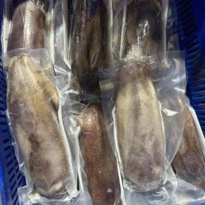 Mực Lá Tươi Cấp Đông Size 500g Thùng 10kg
