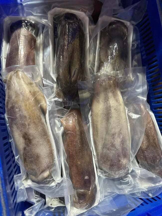 Mực Lá Tươi Cấp Đông Size 500g (3)