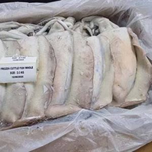Mực Nang Ấn Độ Size 2–3kg Nhập Khẩu Đông Lạnh Thùng 10kg