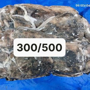 Mực Nang Ấn Độ Size 300/500g Nhập Khẩu Đông Lạnh Thùng 10kg