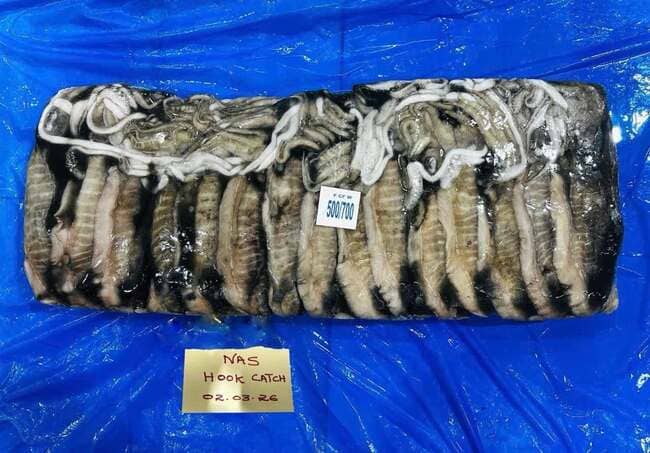 Mực Nang Ấn Độ Size 500–700g Nhập Khẩu Đông Lạnh (2)