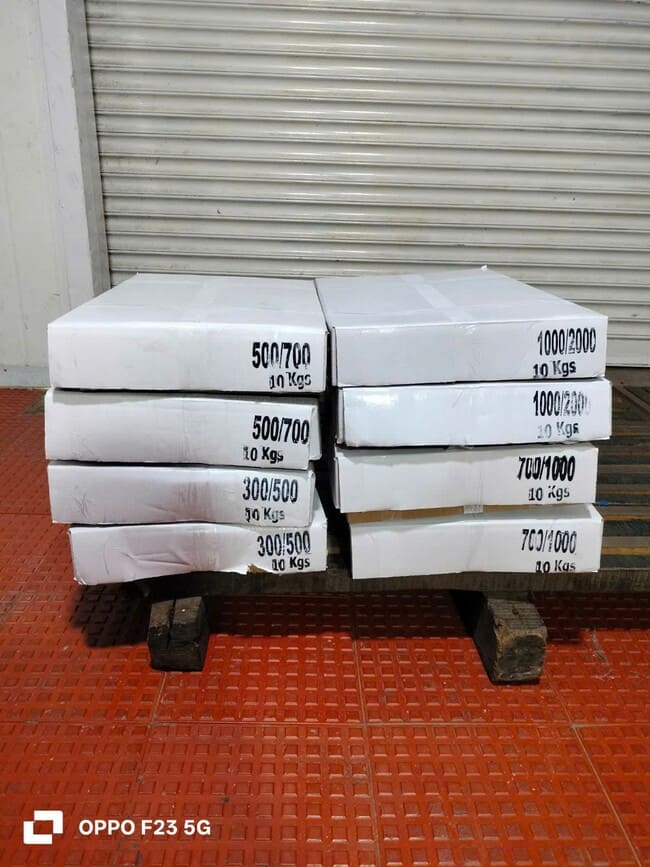 Mực Nang Ấn Độ Size 500–700g Nhập Khẩu Đông Lạnh (4)