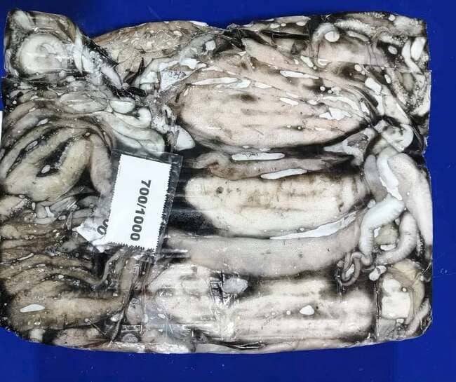 Mực Nang Ấn Độ Size 700–1000g Nhập Khẩu Đông Lạnh (4)