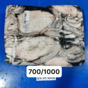 Mực Nang Ấn Độ Size 700–1000g Nhập Khẩu Đông Lạnh Thùng 10kg