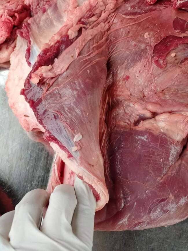 Nạm Bụng Al Minha M13 Thịt Trâu Ấn Độ (2)