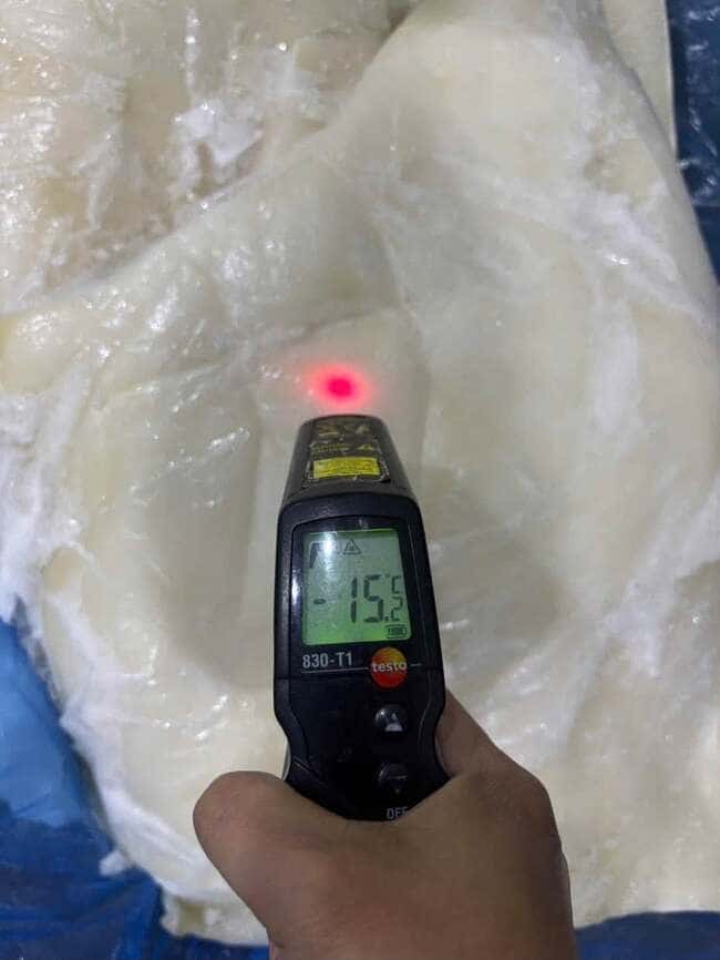 Thân Mực Chile Phi Lê Nhập Khẩu Đông Lạnh Thùng 10kg (1)