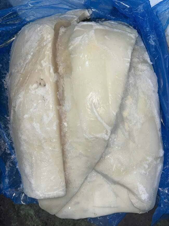 Thân Mực Chile Phi Lê Nhập Khẩu Đông Lạnh Thùng 10kg (3)