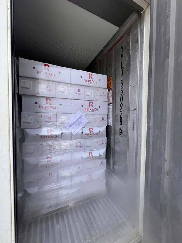 Thịt Nạc Vụn Heo Reixach Nhập Khẩu Tây Ban Nha Thùng 10kg Đông Lạnh (2)